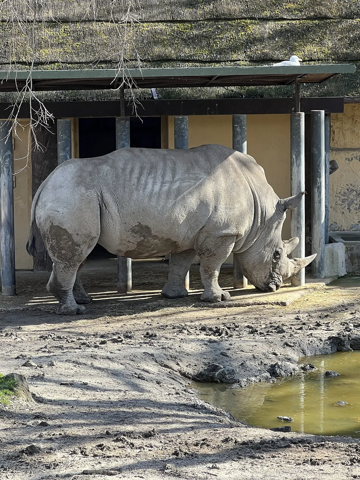 Fondazione Bioparco di Roma