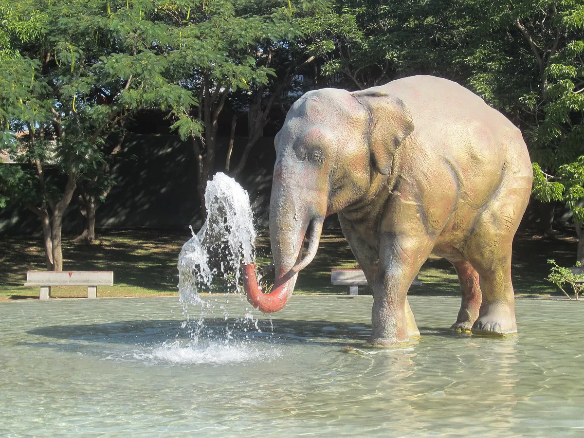 Zoológico Guadalajara