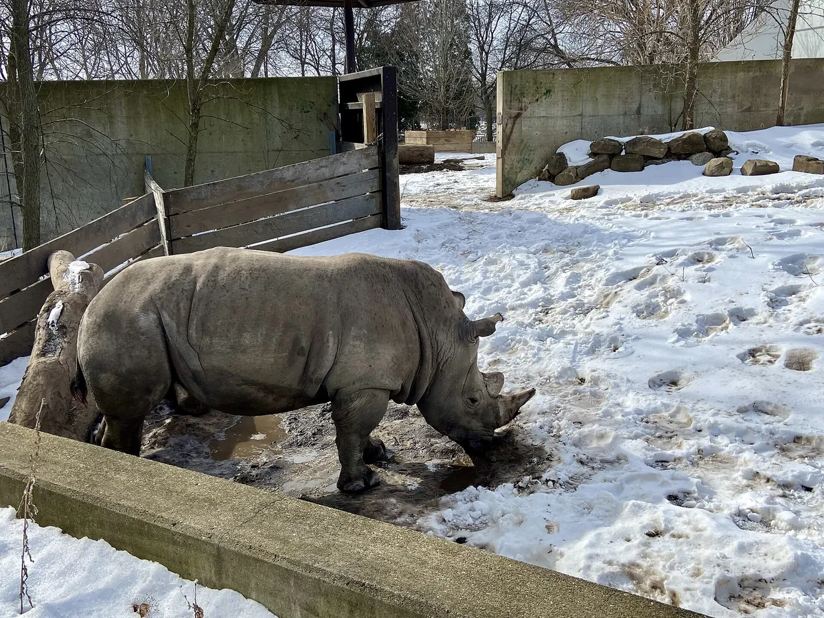 Henry Vilas Zoo