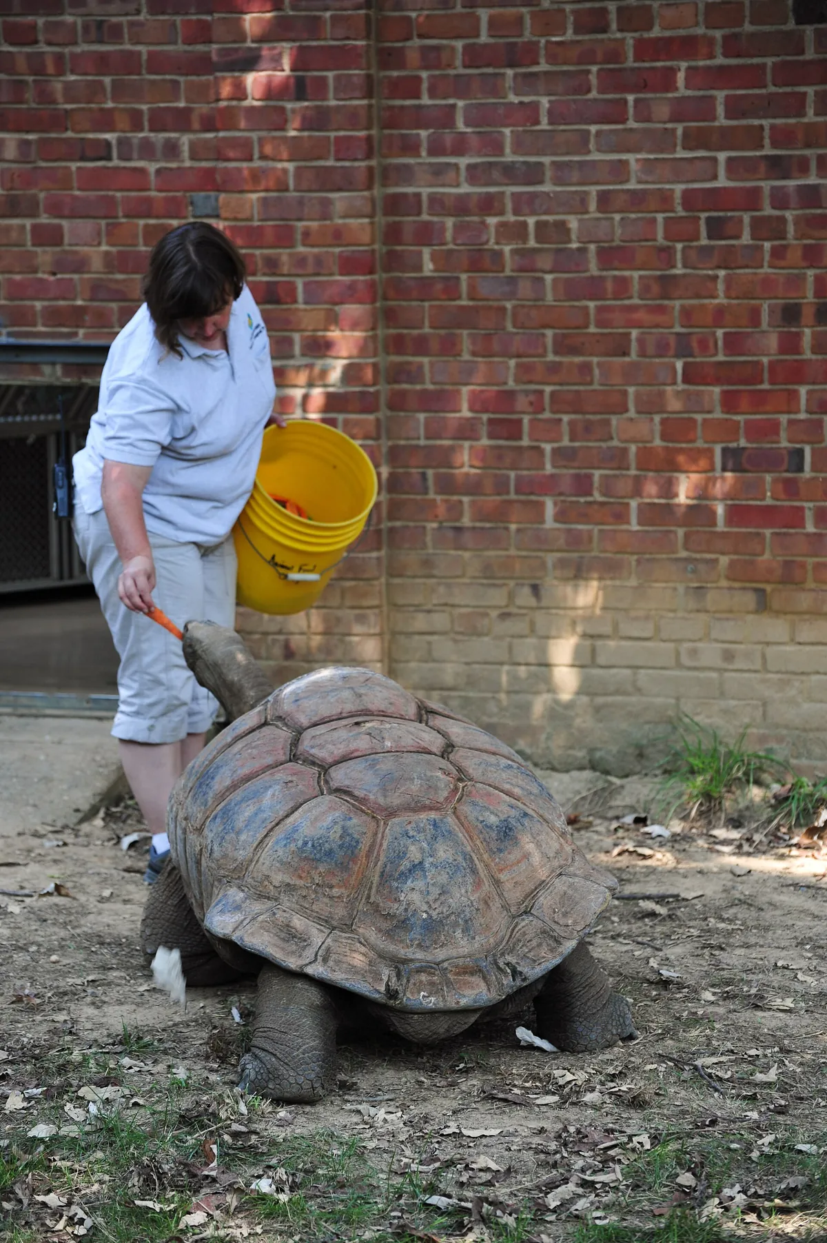 Smithsonian's National Zoo and Conservation Biology Institute