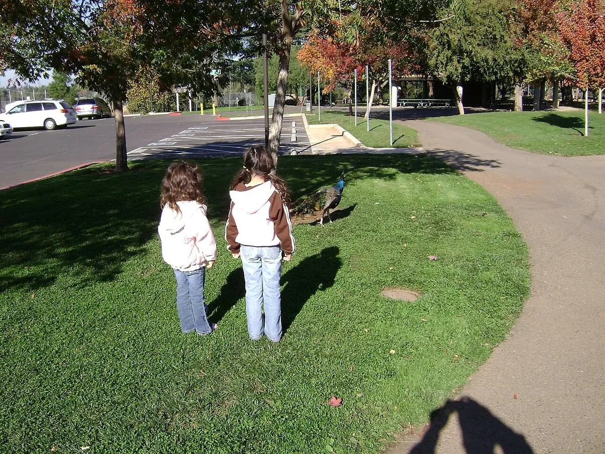Folsom City Zoo Sanctuary