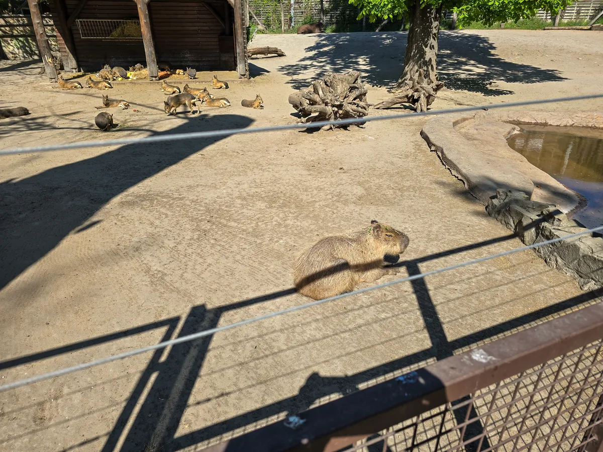 Budapest Zoo and Botanical Garden