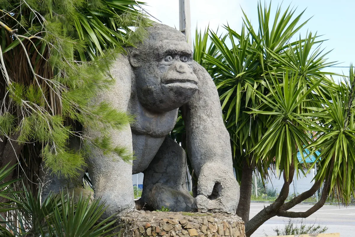 ZOO DE LAGOS