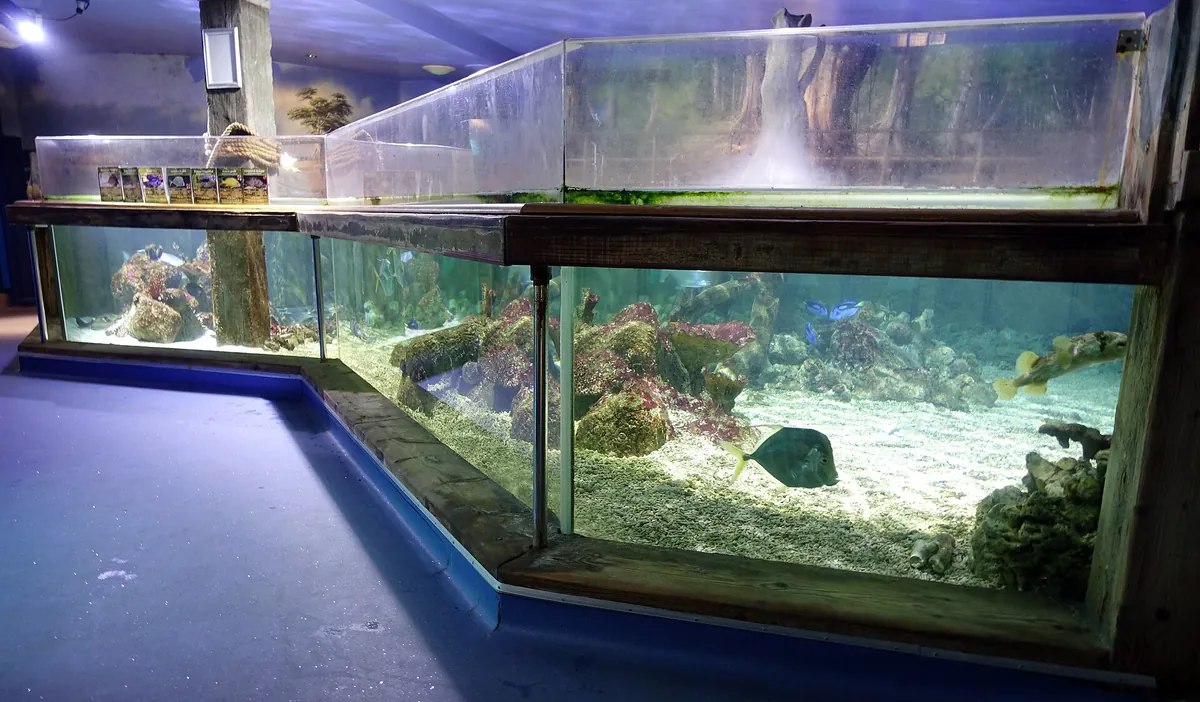 Oceanarium