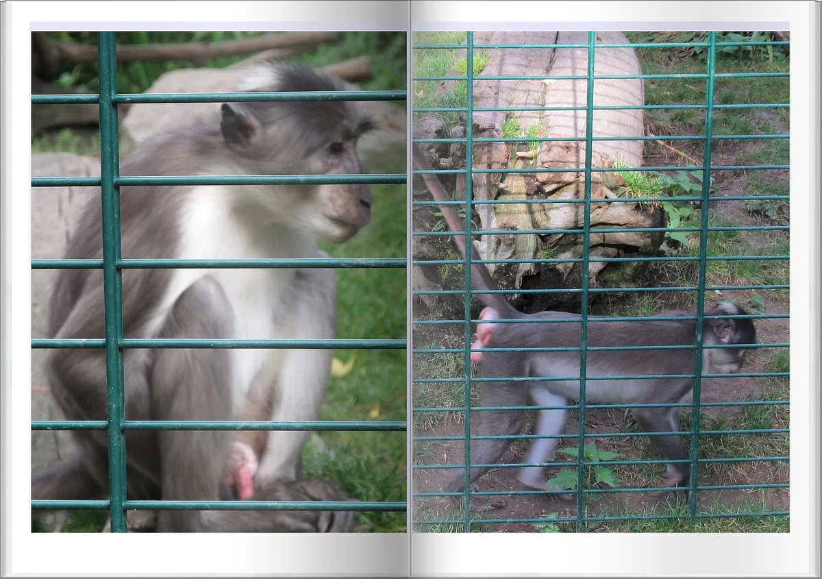 Zoo Landau in der Pfalz