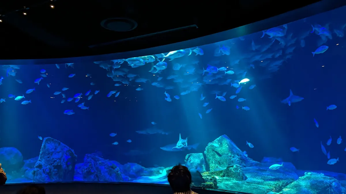 New York Aquarium