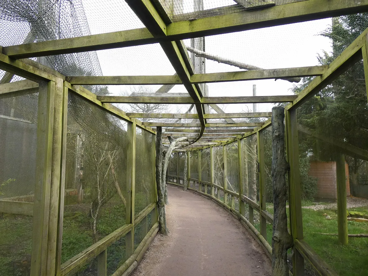 Twycross Zoo