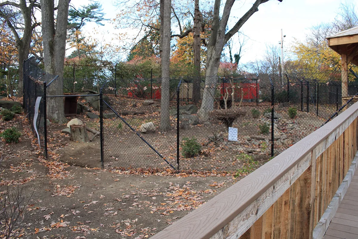 Connecticut's Beardsley Zoo