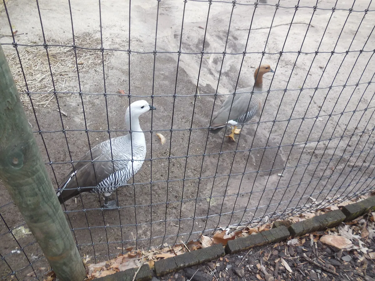Queens Zoo