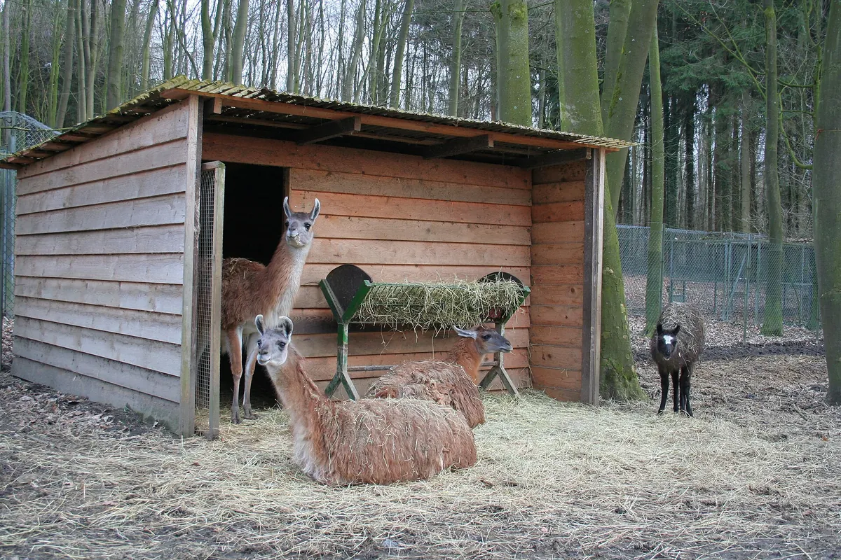 Tierpark Herford