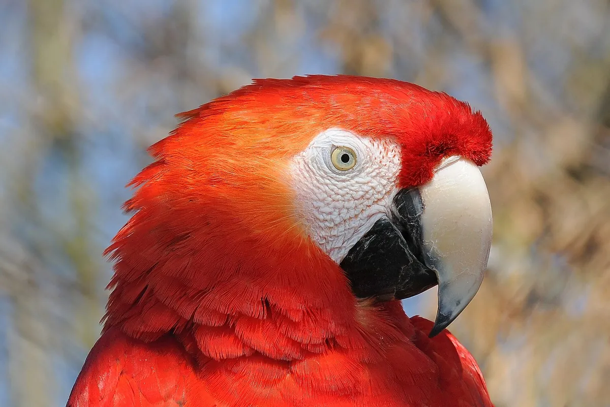 Walter Zoo