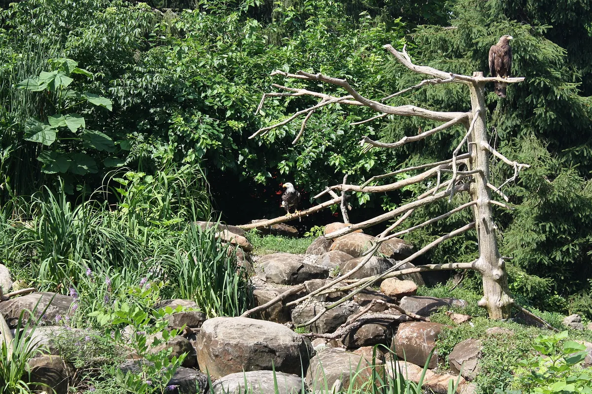 Elmwood Park Zoo