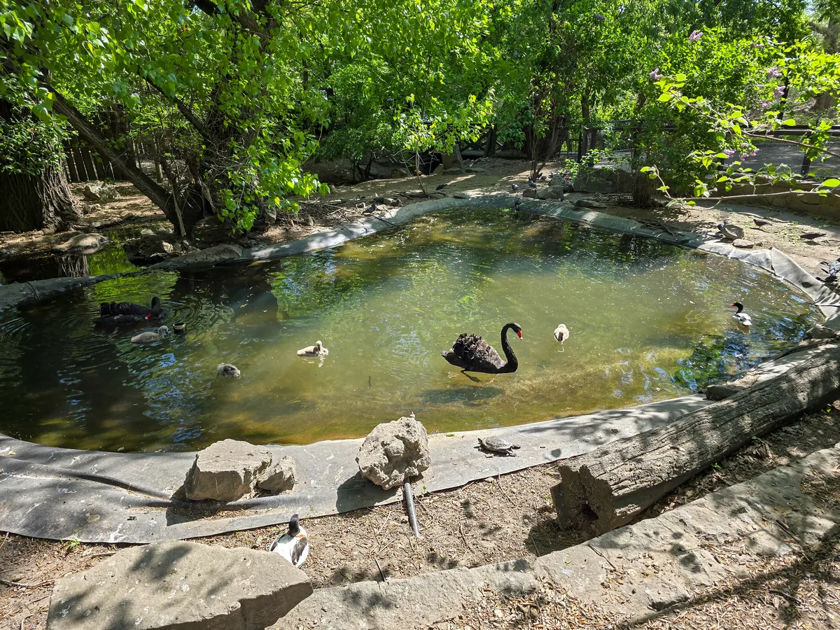 Budapest Zoo and Botanical Garden