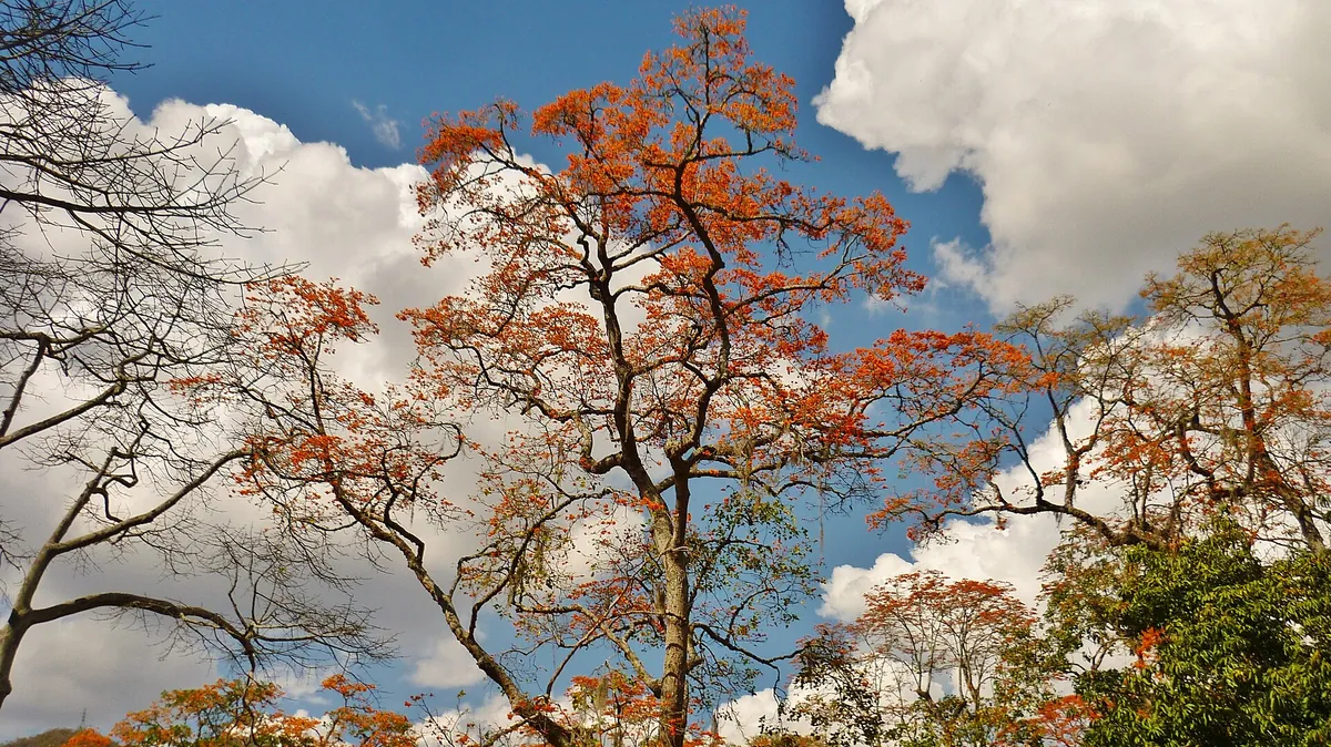 Parque Zoológico Caricuao