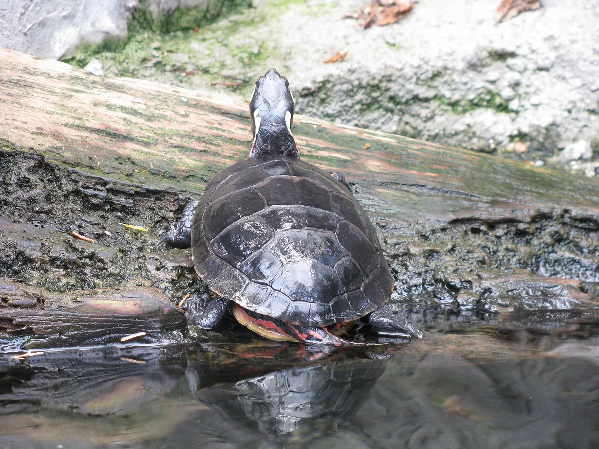 North Carolina Aquarium on Roanoke Island