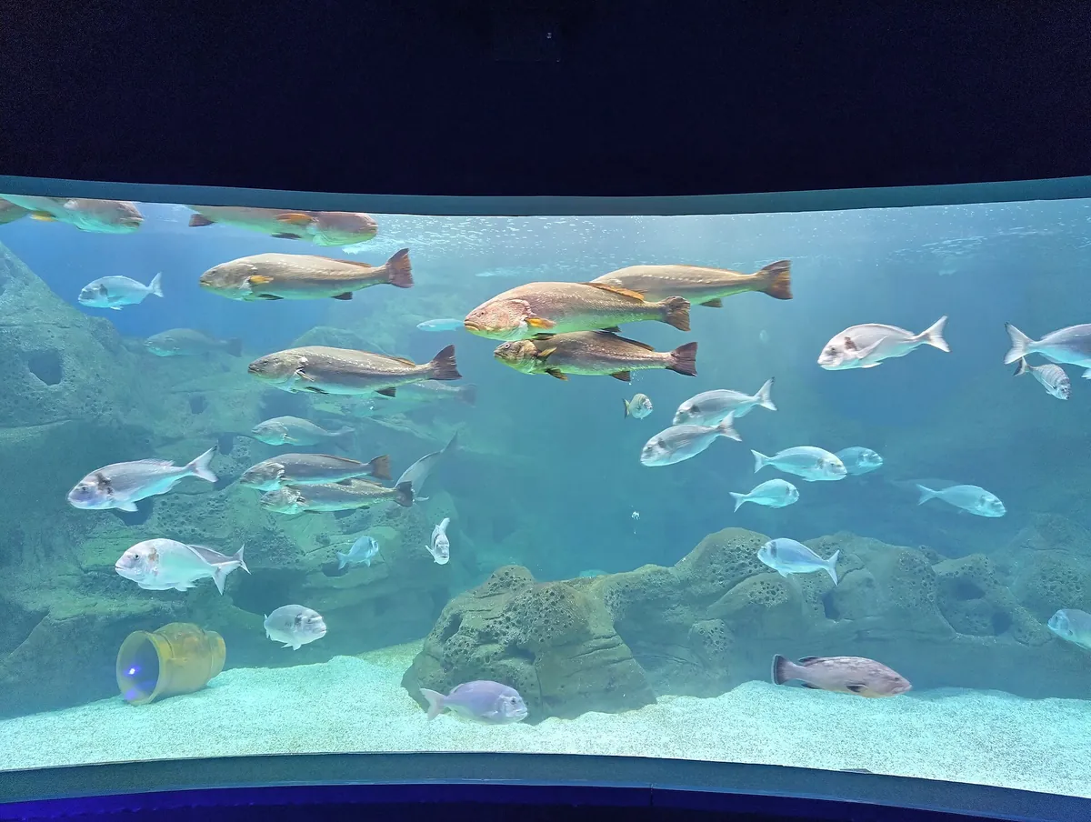 Cretaquarium
