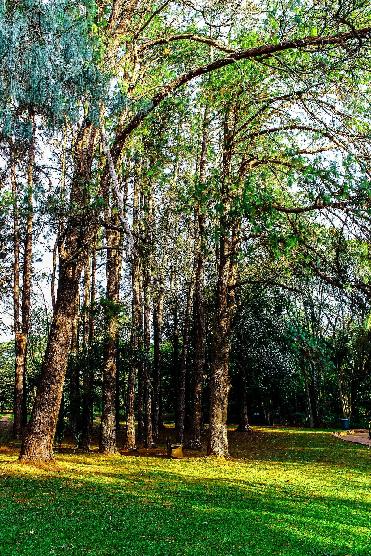 Parque Ecológico de São Carlos