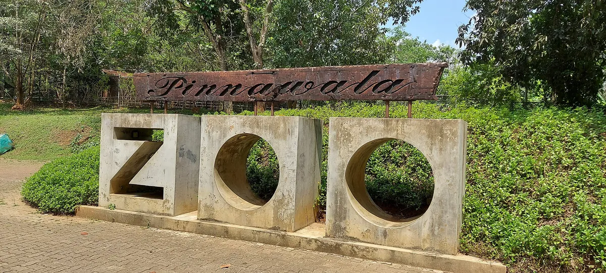 Pinnawala Open Zoo