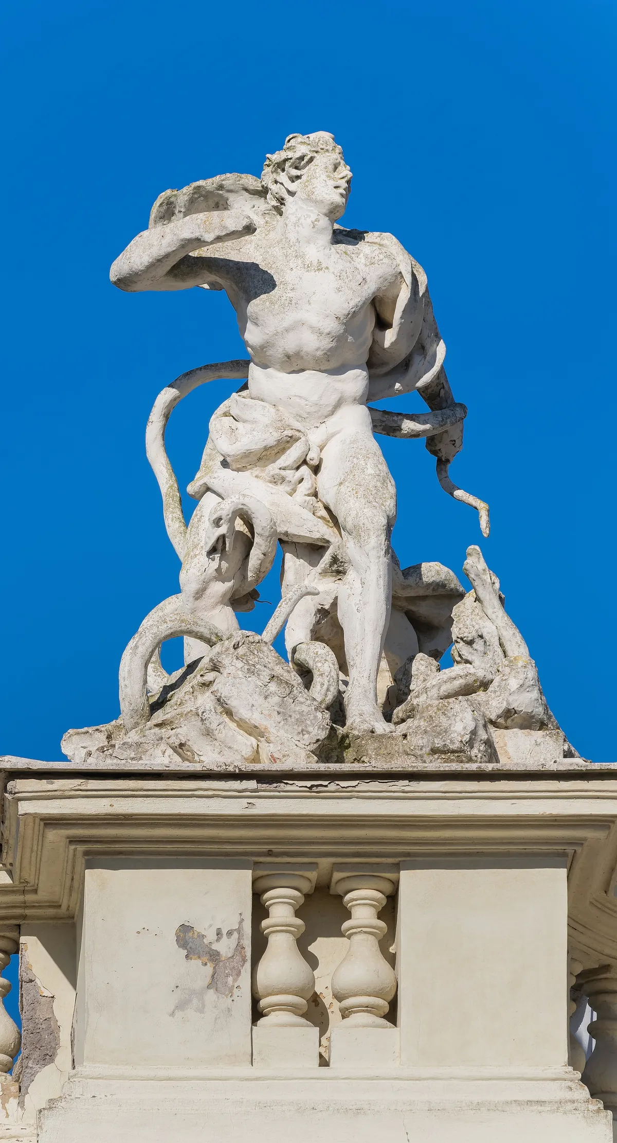 Fondazione Bioparco di Roma