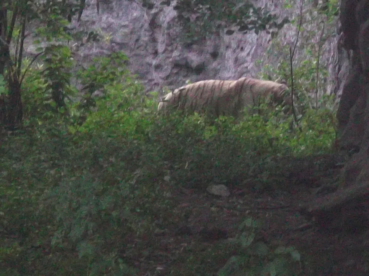Rajiv Gandhi Zoological Park
