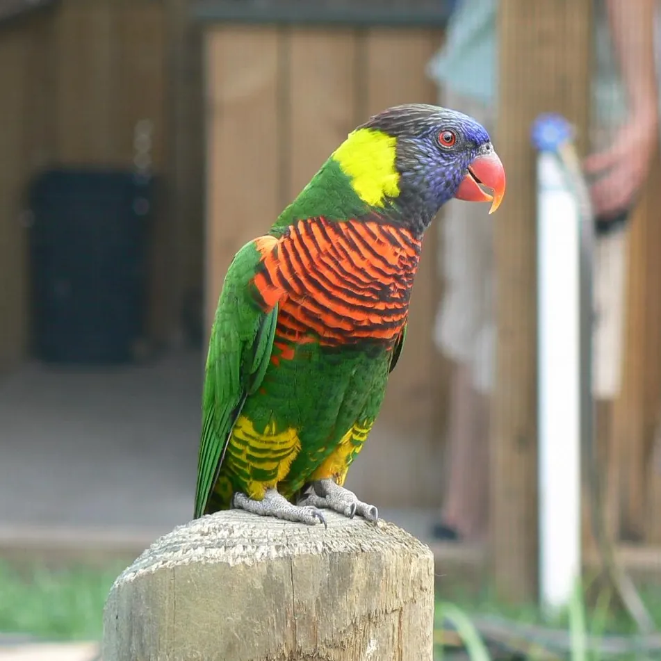 Tanganyika Wildlife Park