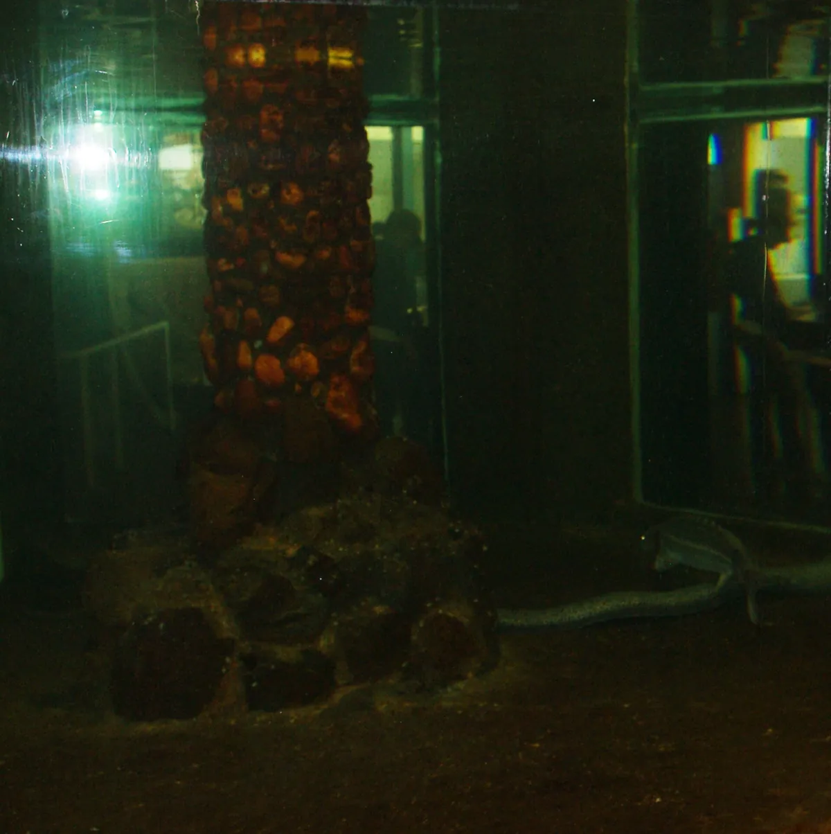 Seaside Aquarium