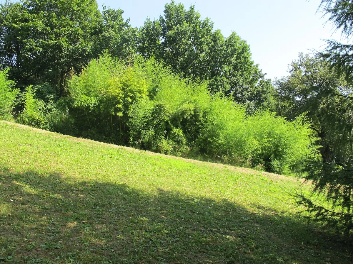 Ústí nad Labem Zoo