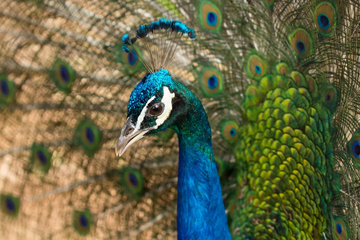 Mendoza Zoological Park