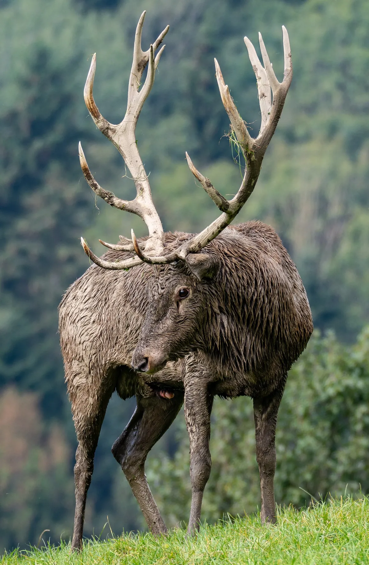 Tierpark Altenfelden