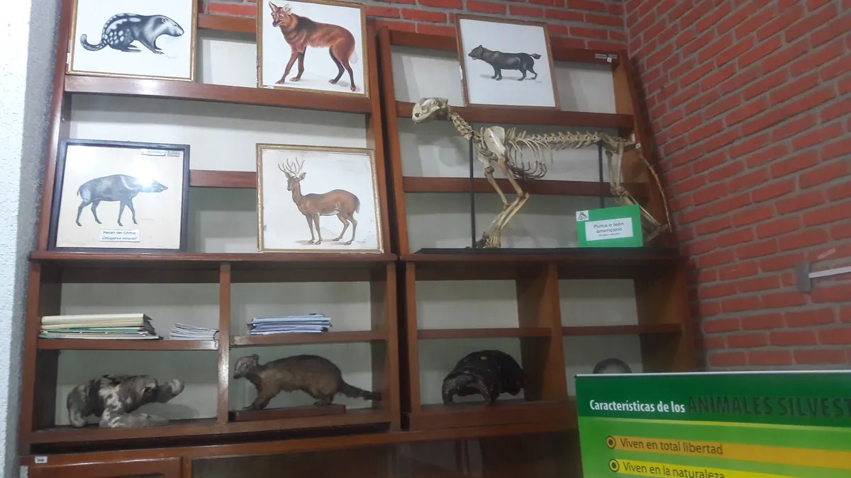 Zoológico de Fauna Sudamericana