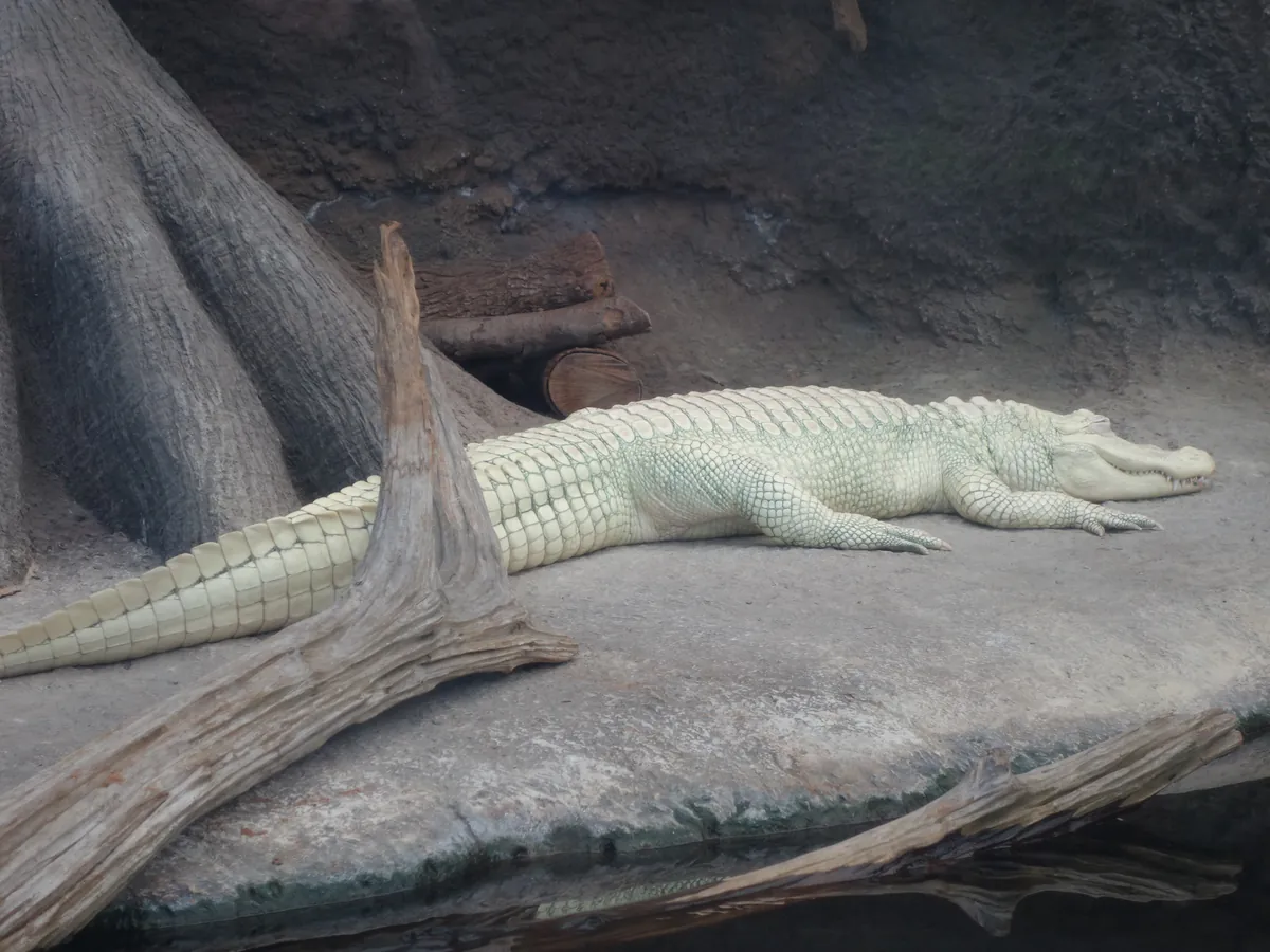North Carolina Aquarium at Fort Fisher