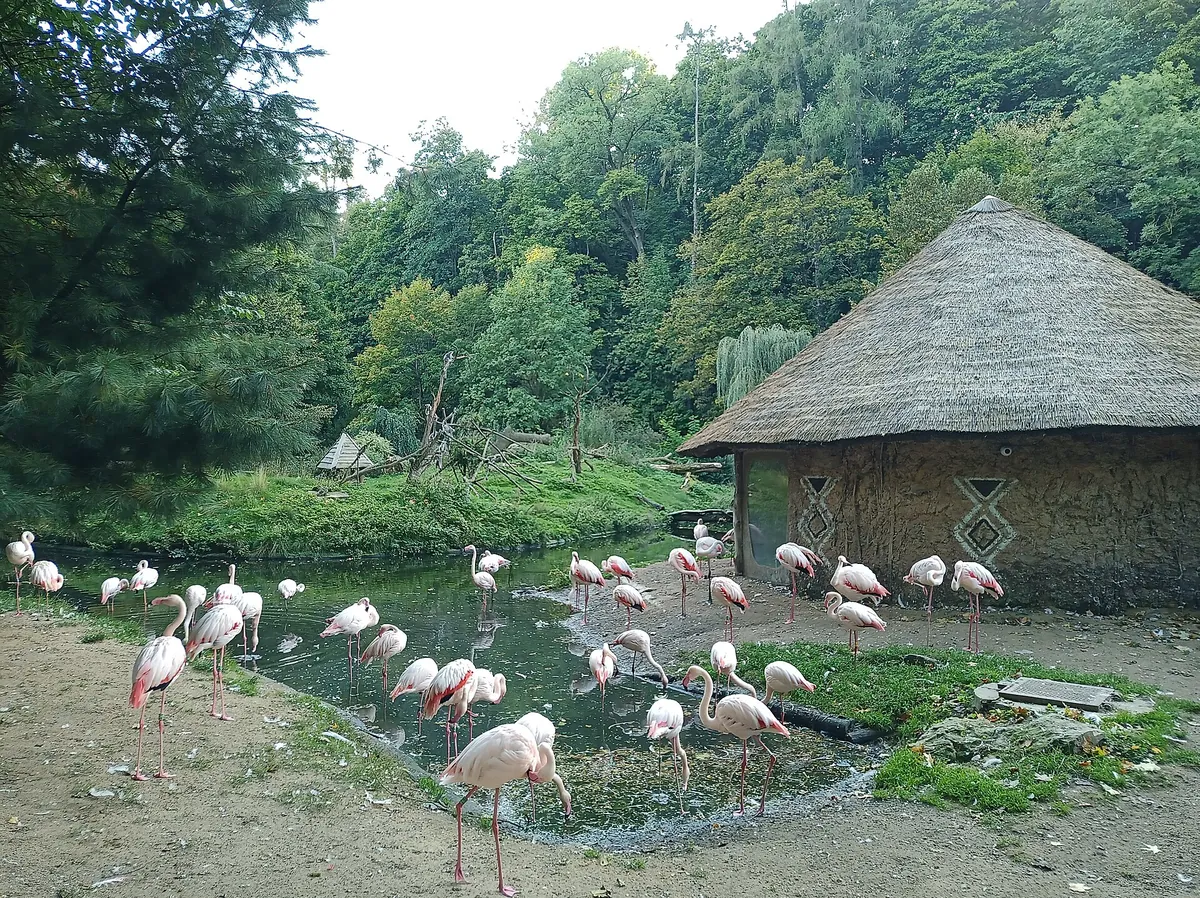 Jihlava Zoo