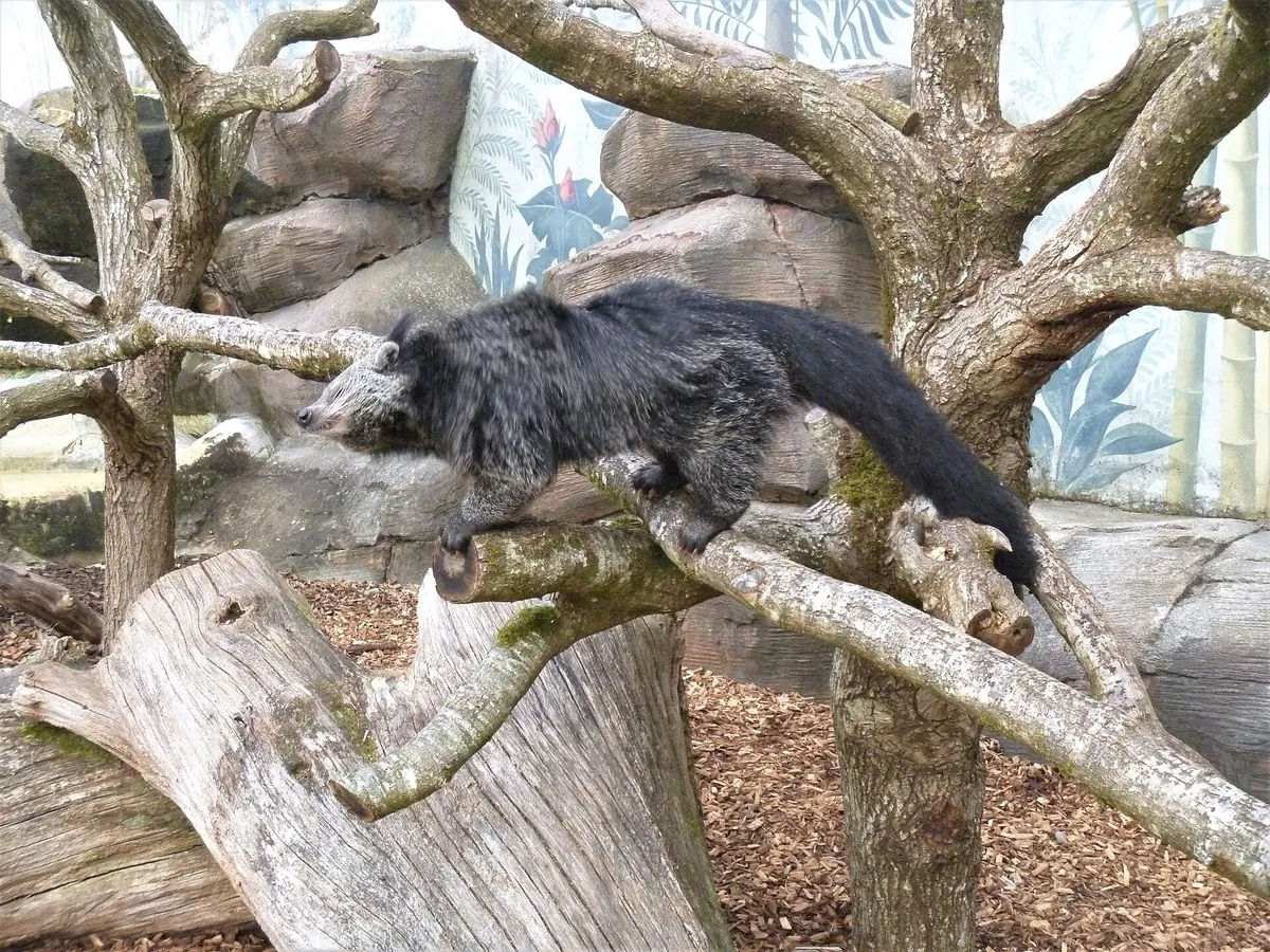 Longleat