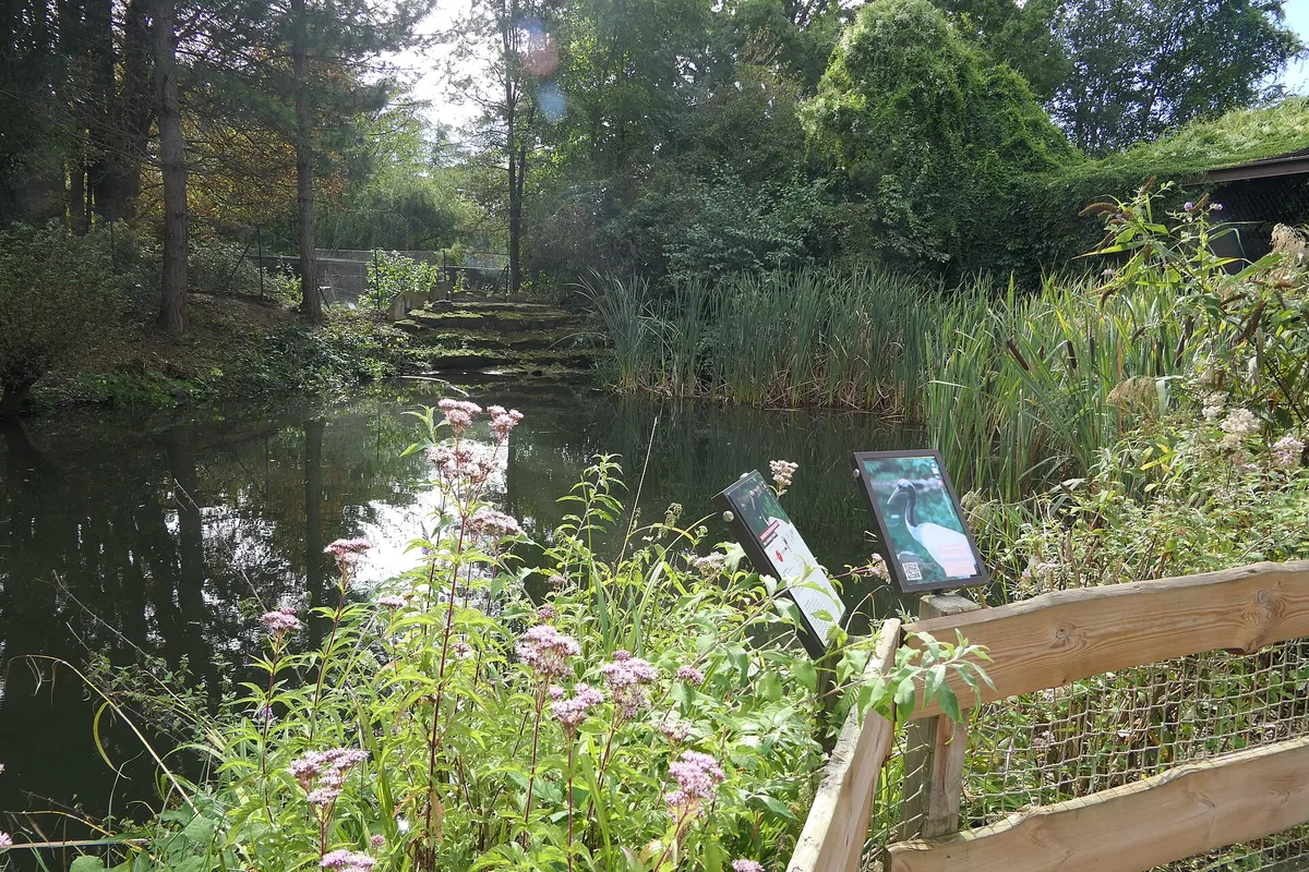 Zoo Heidelberg