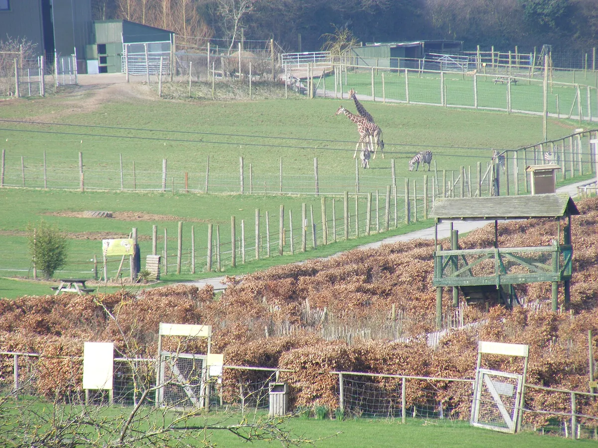 Noah's Ark Zoo Farm