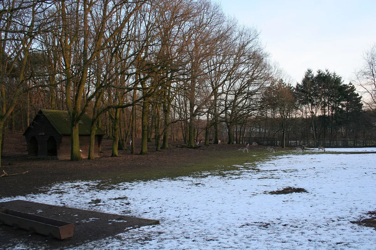 Wildpark Tannenbusch