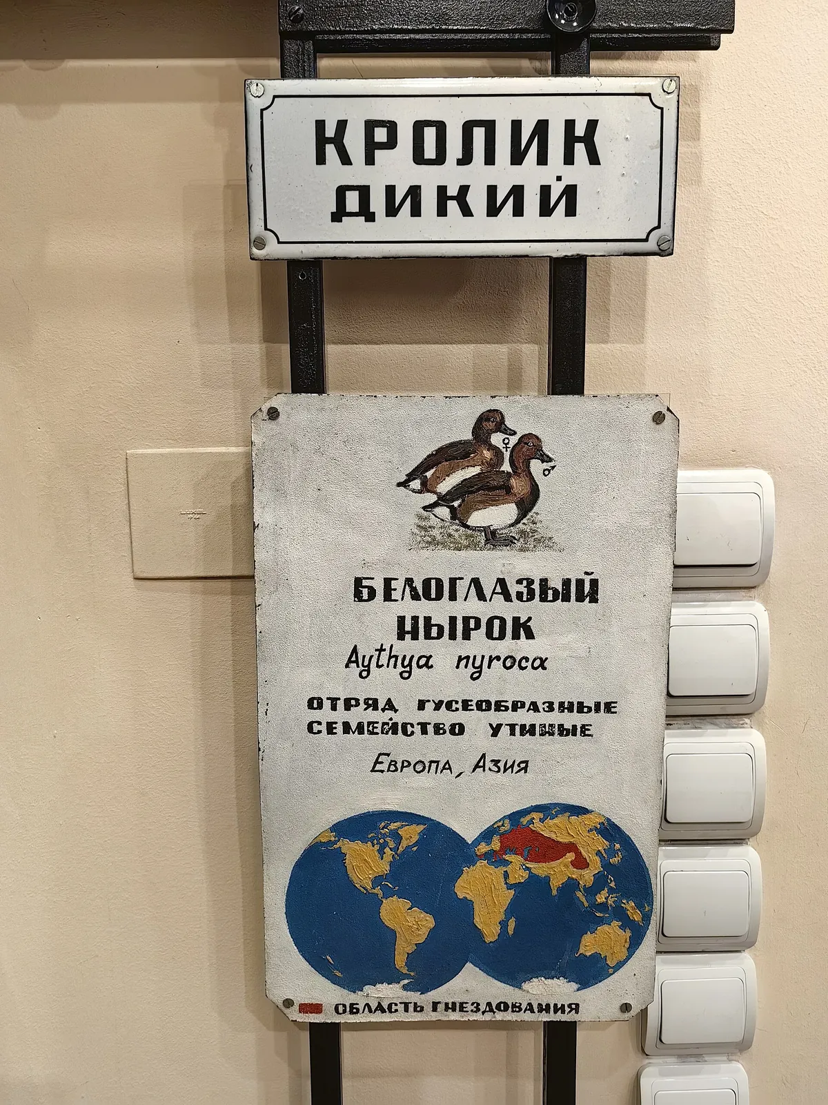 Московский зоопарк (Moscow Zoo)