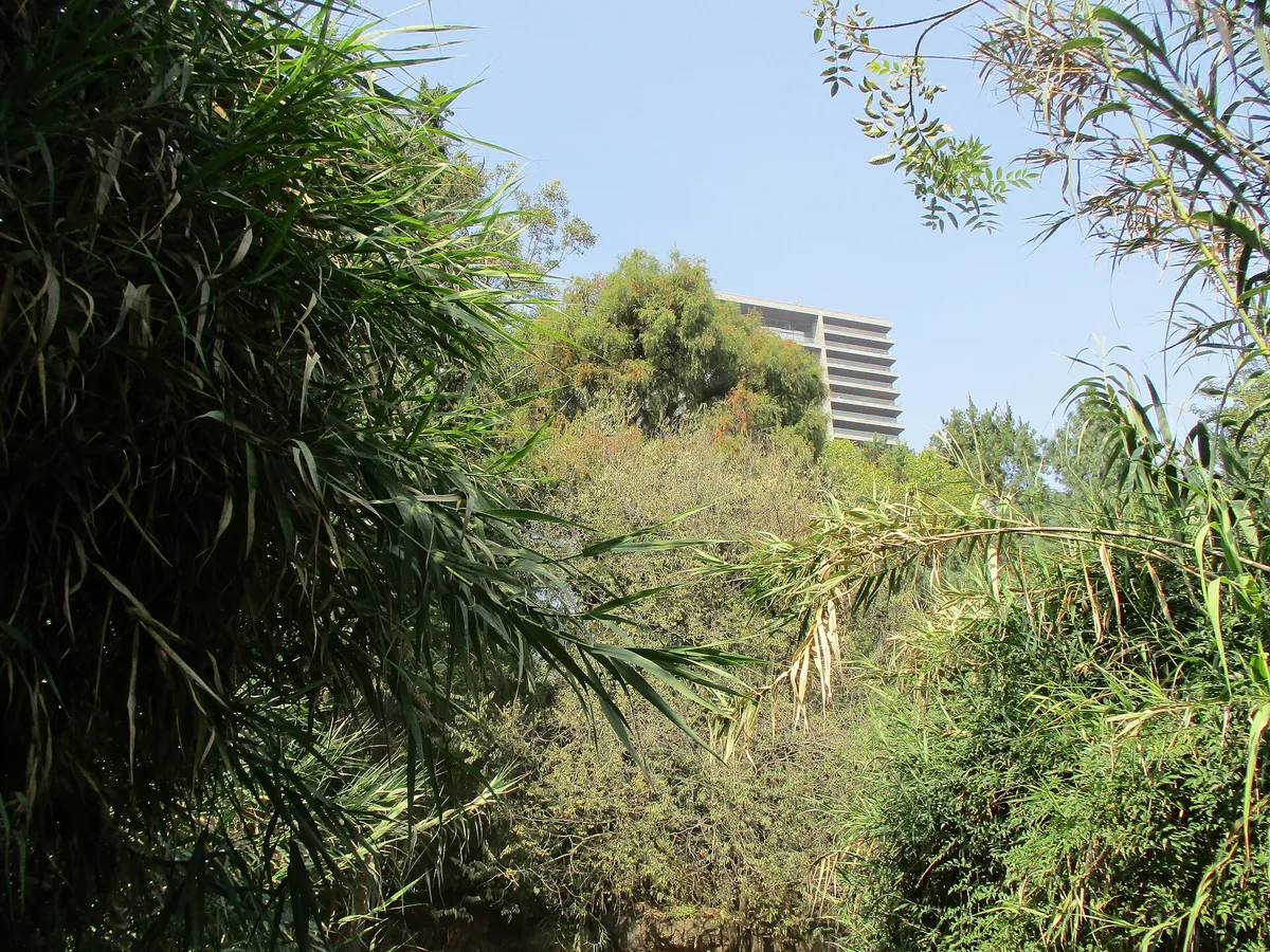 Zoologico de Chapultepec