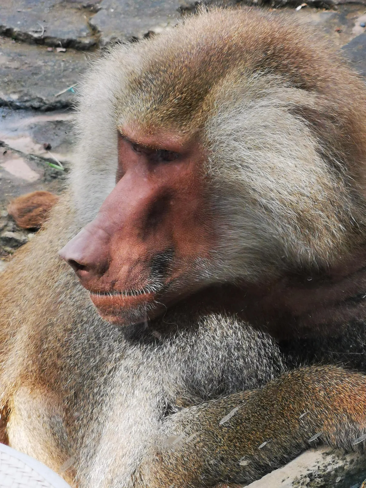 Bioparque UKUMARI