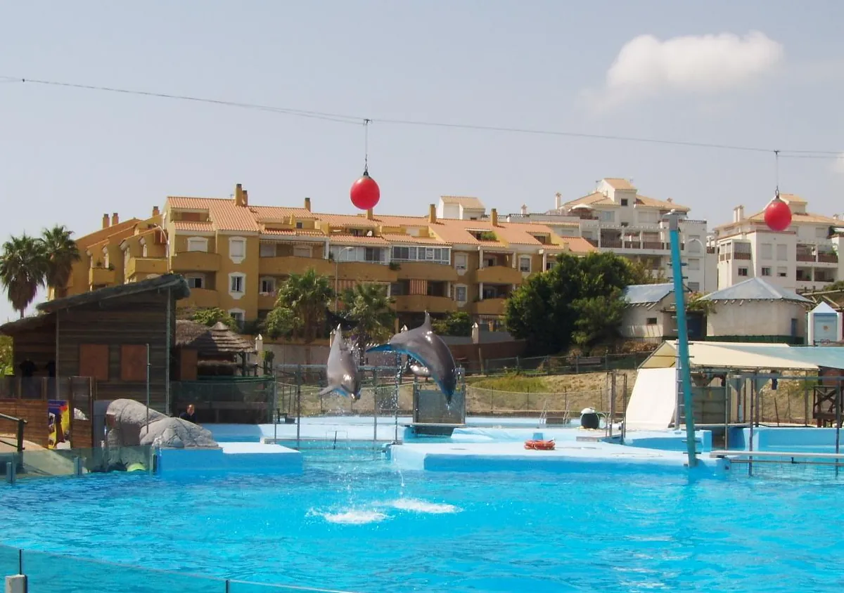 Selwo Marina