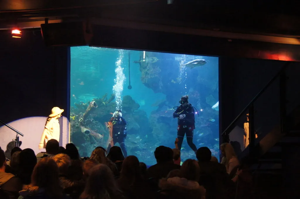 Blue Planet Aquarium