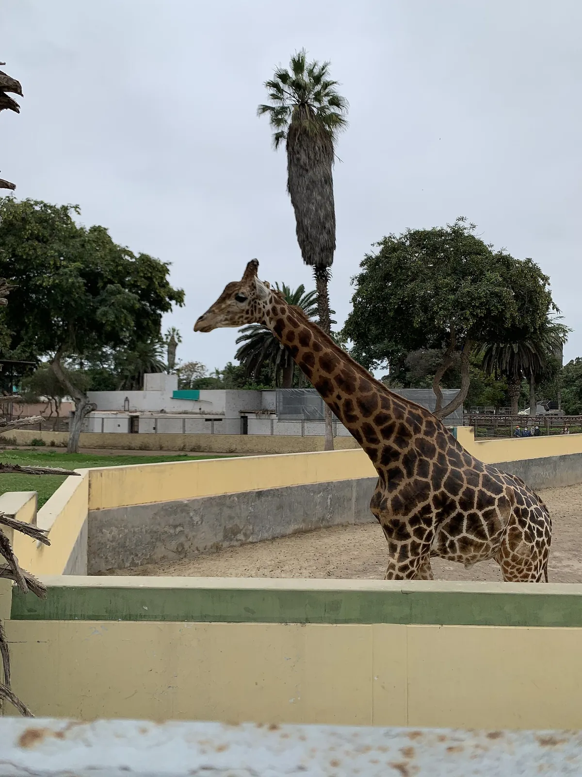 Parque de las Leyendas