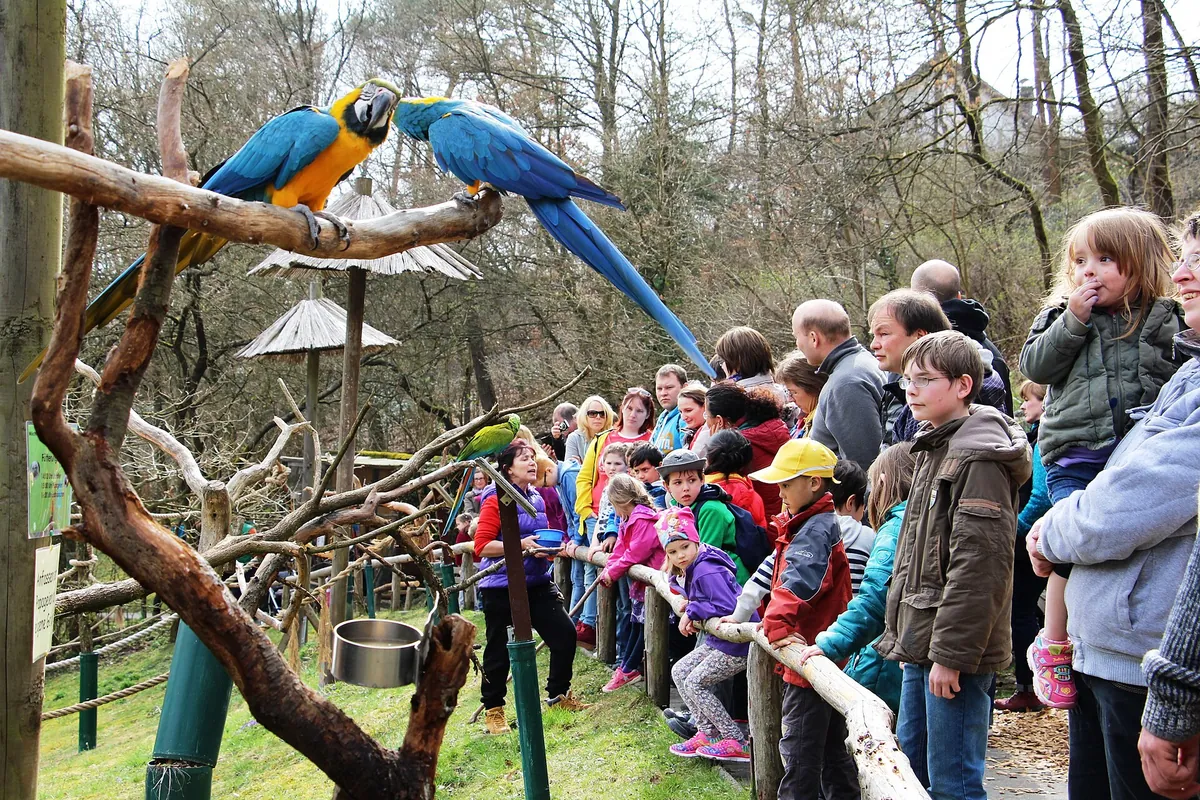 Tierpark Herborn