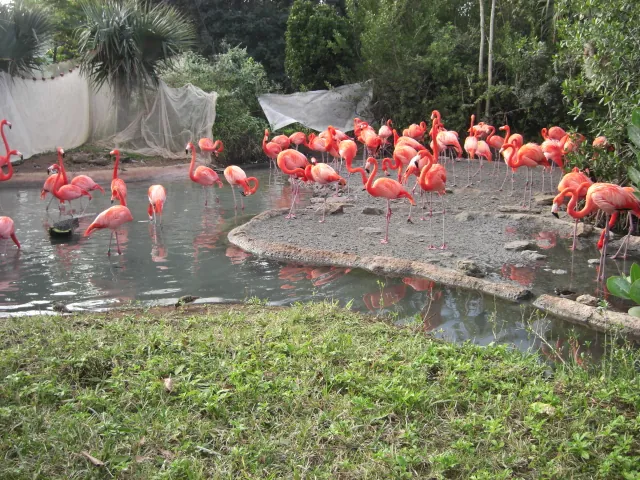 Bermuda Aquarium, Museum and Zoo