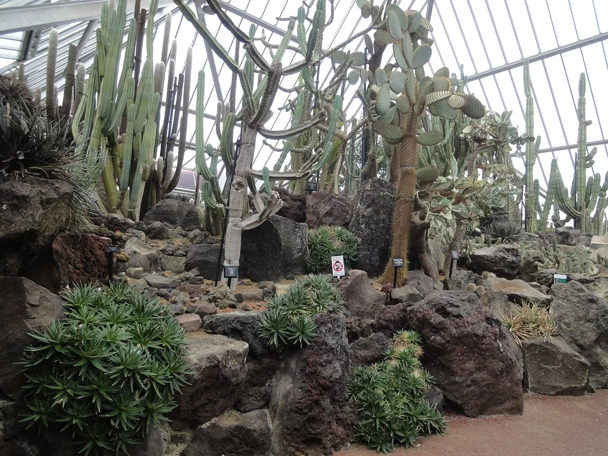 Izu Shaboten Zoo