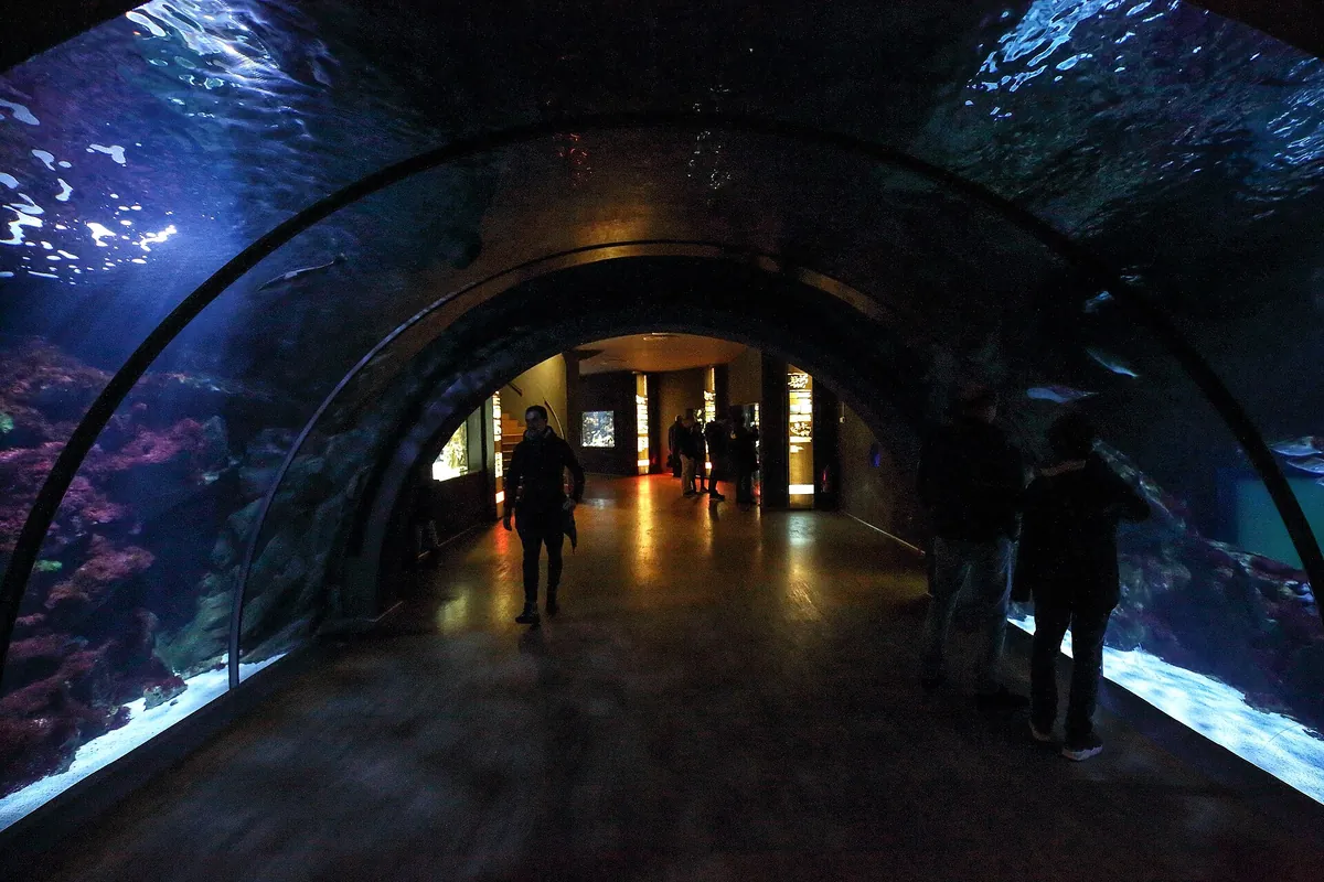 Civic Aquarium of Milan
