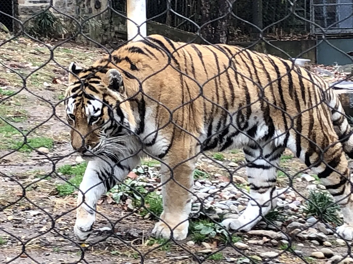 Philadelphia Zoo