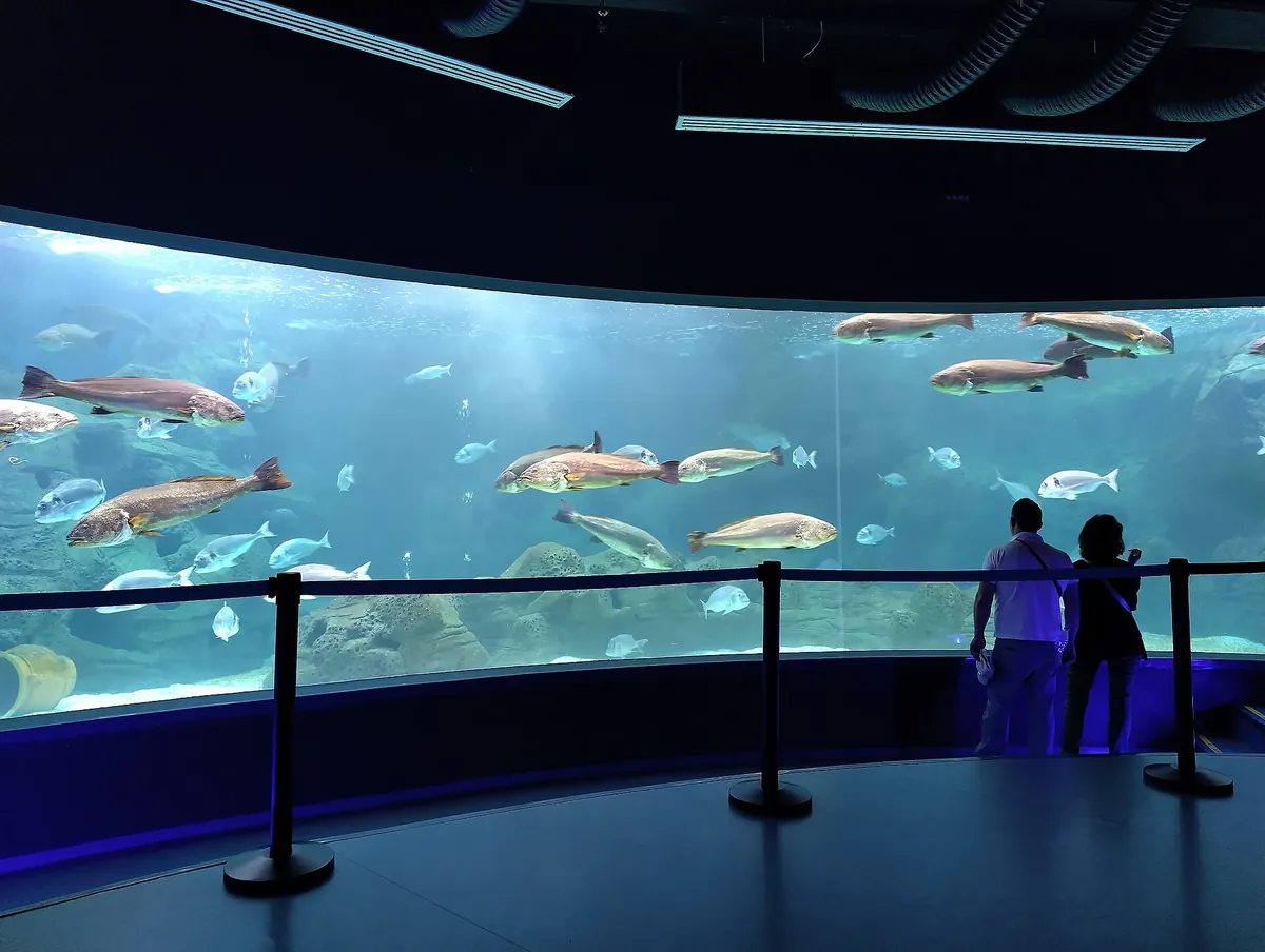 Cretaquarium