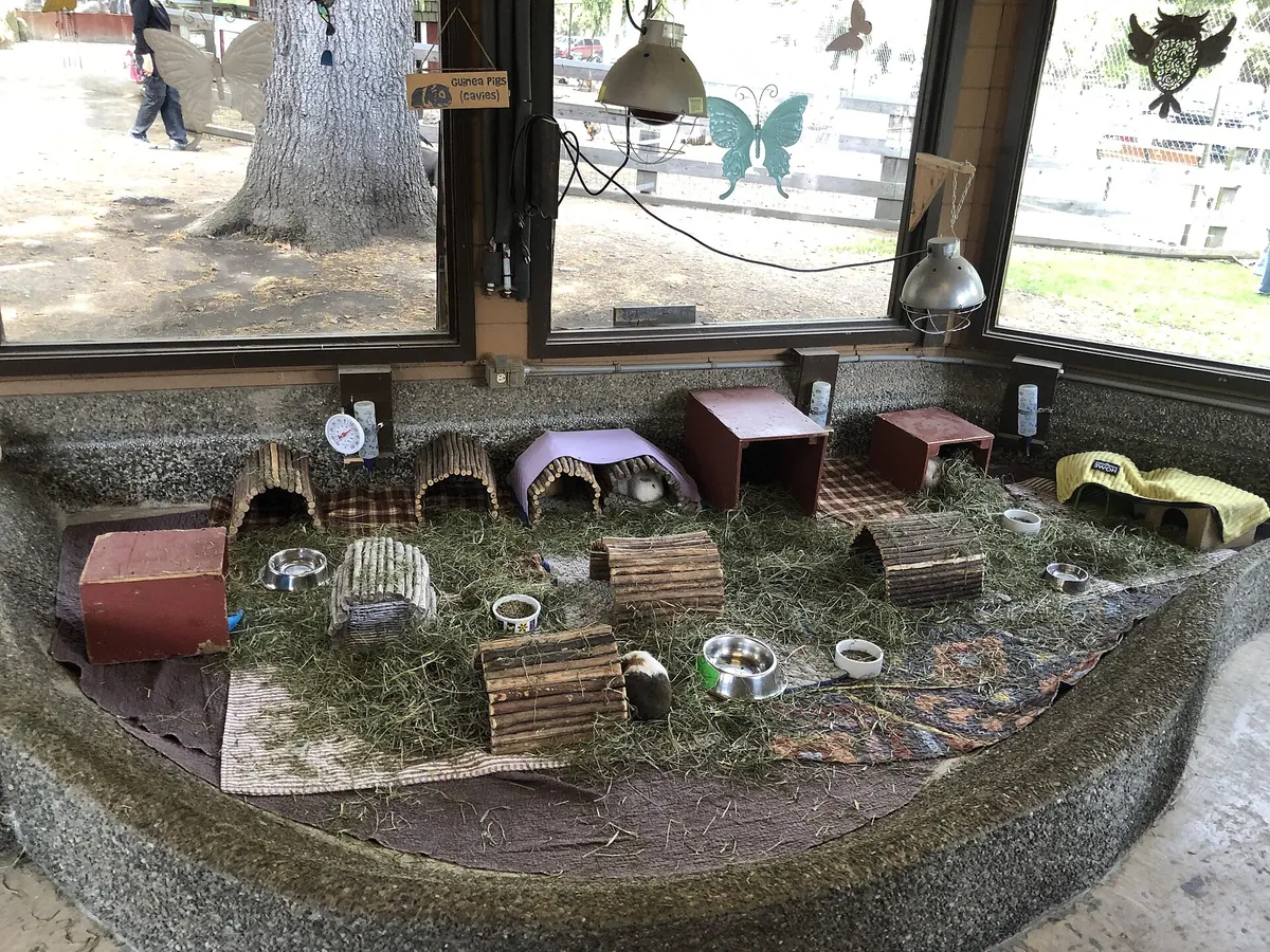 Beacon Hill Children's Farm