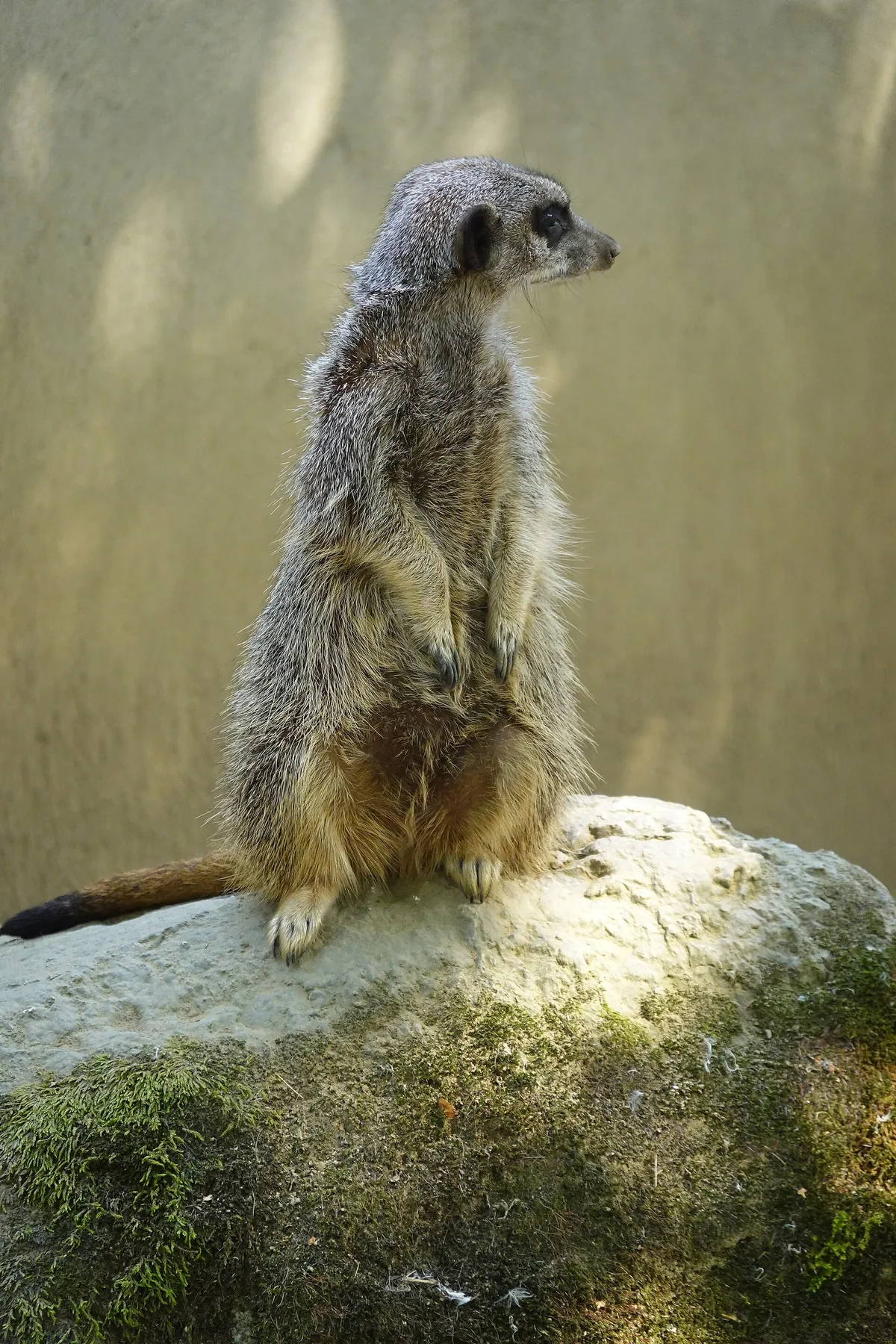 Vogelpark Turnersee